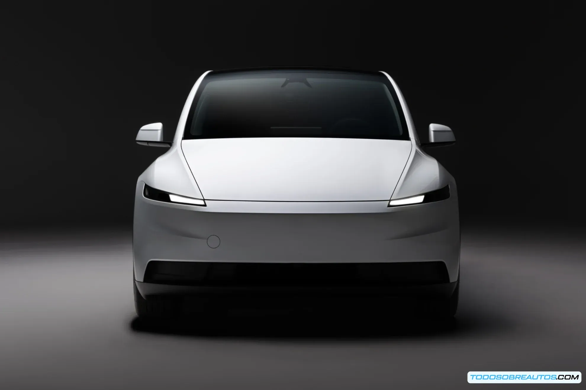 Detalle del interior del Tesla Model Y Standard