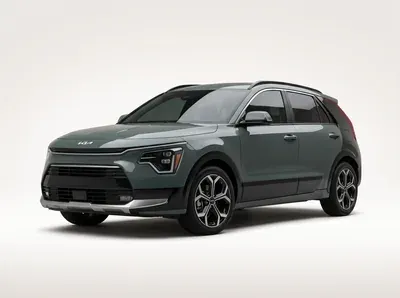 Niro