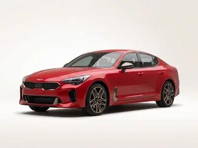 Stinger