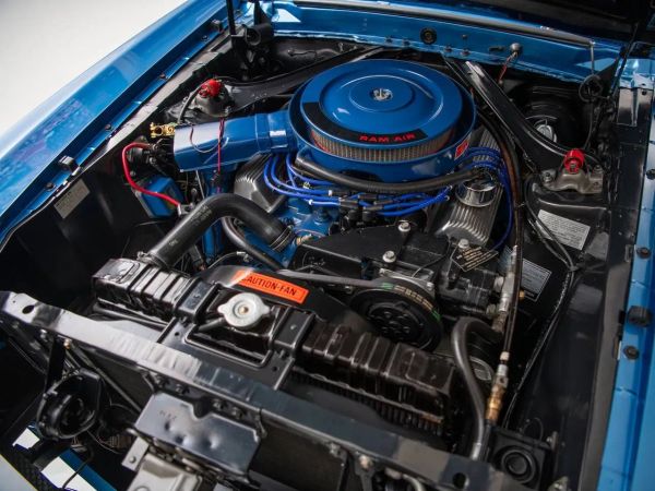 Shelby GT500 Fastback 1969: La Leyenda del Mustang con el Toque de Shelby 🚗💨