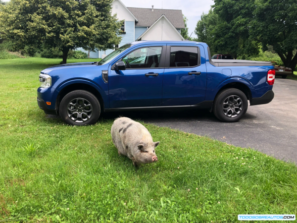Ford Maverick Hybrid 2025: Análisis Profundo de Rendimiento, Eficiencia y Especificaciones para México