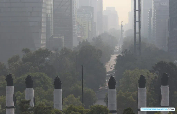 Doble Hoy No Circula 2025: Guía Completa con Reglas Actualizadas, Multas y Excepciones en CDMX y Edomex