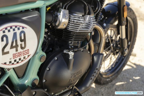 Royal Enfield Bear 650: Análisis Completo y Opiniones | ¿La Mejor Scrambler Sesentera?