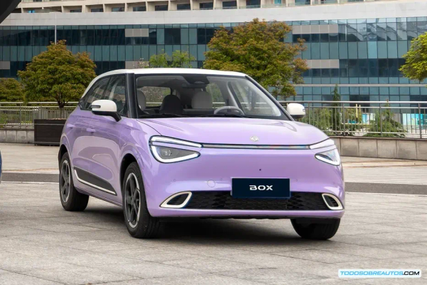 Dongfeng Box: Precio con Ayudas Anticipadas y Análisis