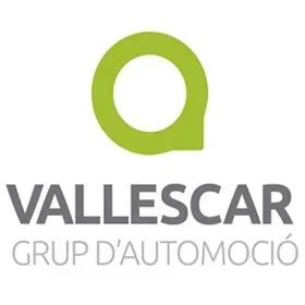 Fusión Maas Vallescar: Análisis del Nuevo Gigante de Concesionarios en Cataluña