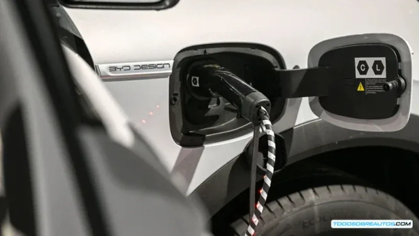 BYD lanza carga compartida en México: cómo funciona y qué ventajas ofrece