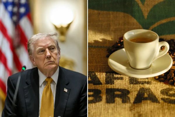 Análisis del impacto de la política de Trump en la normativa CAFE y el mercado del coche eléctrico en EE.UU. hacia 2025