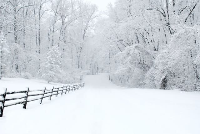 Warming Weakens the Polar Vortex