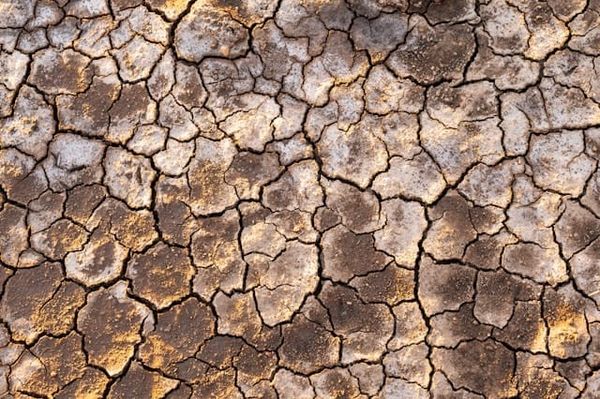 Profitable Scarcity: How Capitalism Manufactures Shortages