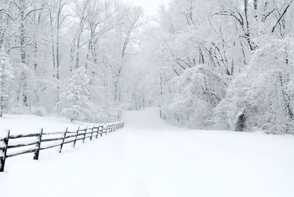 Warming Weakens the Polar Vortex