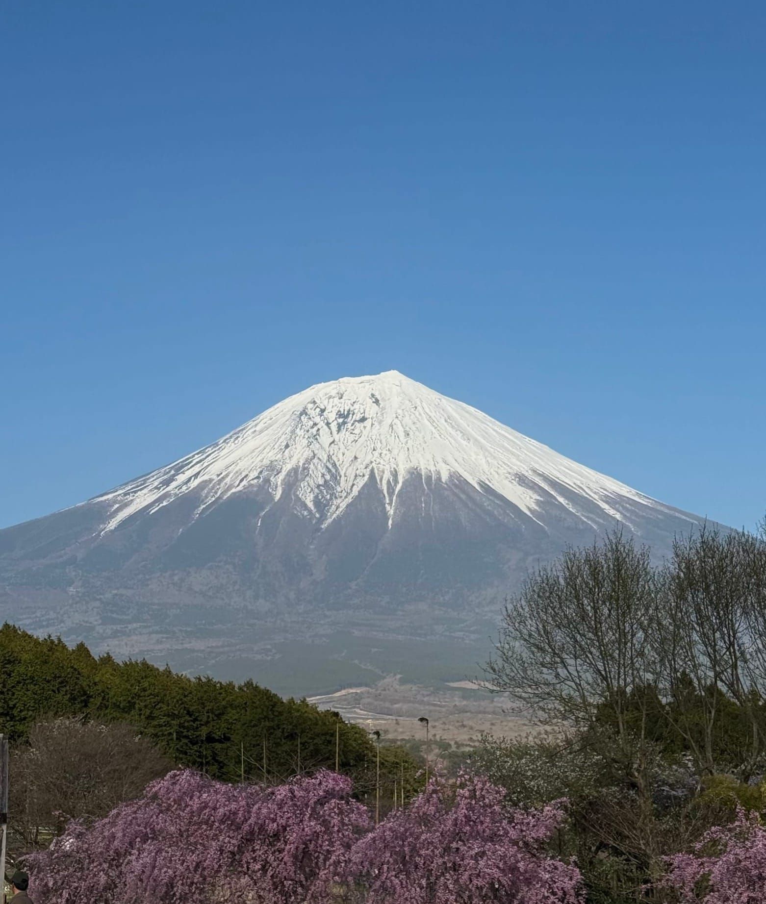 Road tripping around Mount Fuji🌸