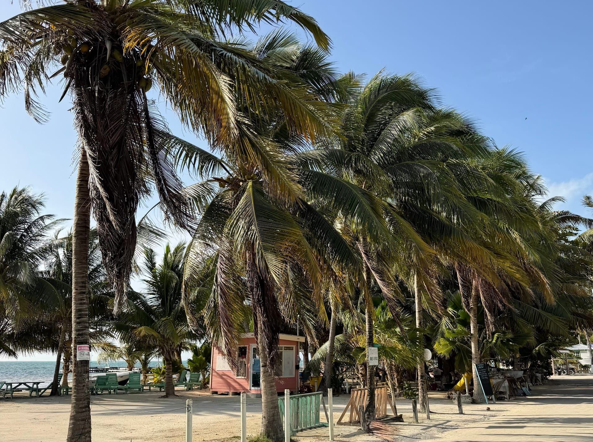 Caye Caulker, Belize🇧🇿