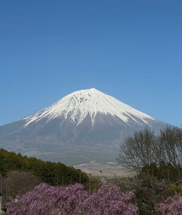 Road tripping around Mount Fuji🌸