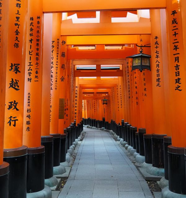Things to do in Kyoto👘