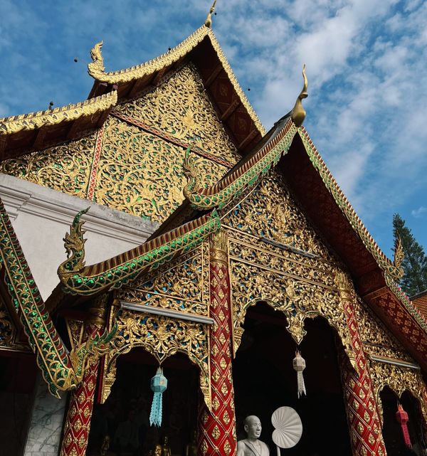 Chiang Mai, Thailand🐘