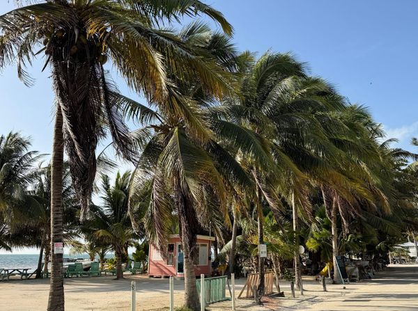 Caye Caulker, Belize🇧🇿