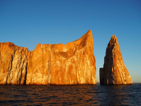 Galápagos Photos🦅