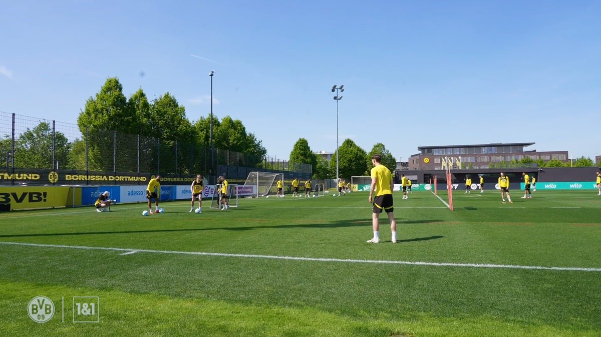 MÁS Training (08/06/25)