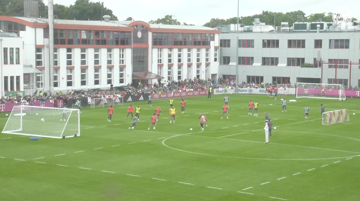 MÁS Training (31/01/26)