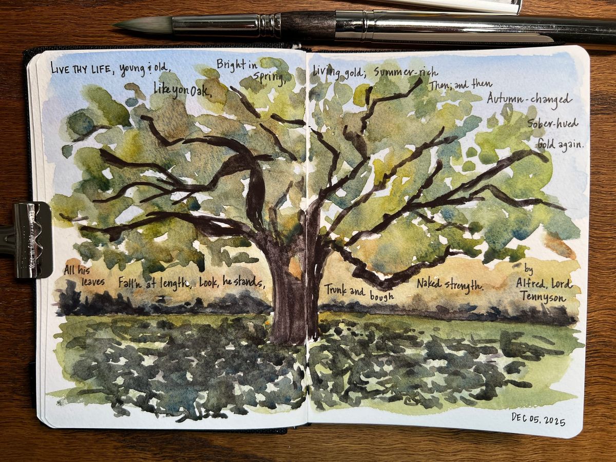 Winter Solstice: Bringing Nature Indoors