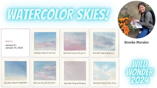 Interview: The Nature Journal Show: Painting Watercolor Skies at the Wild Wonder Nature Journaling Conference