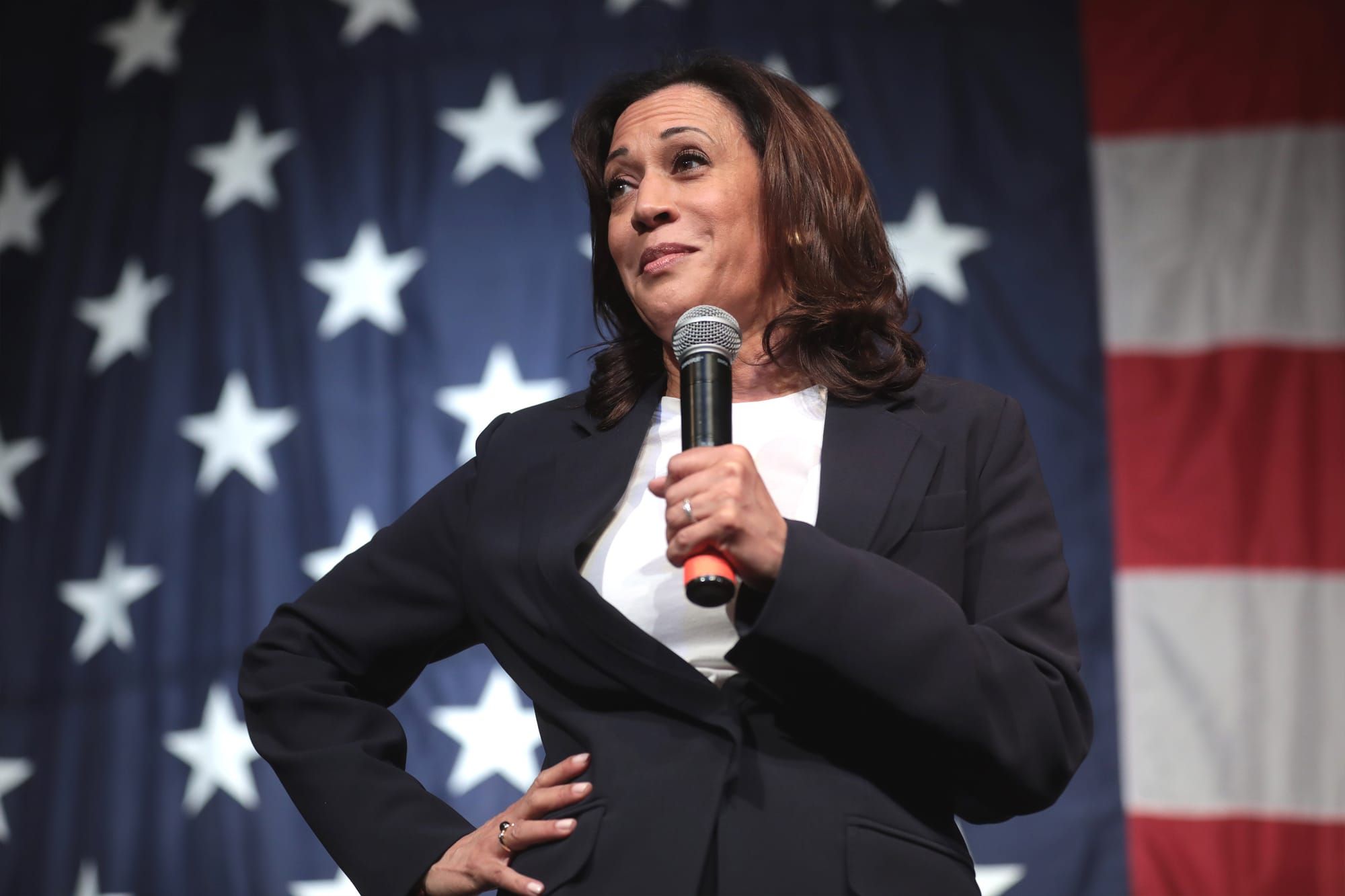Kamala’s bid for presidency is a mockery of democracy Post image