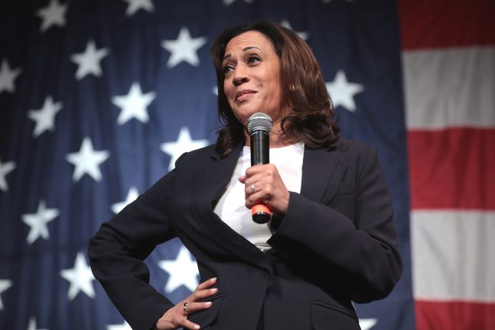 Kamala’s bid for presidency is a mockery of democracy Feature image