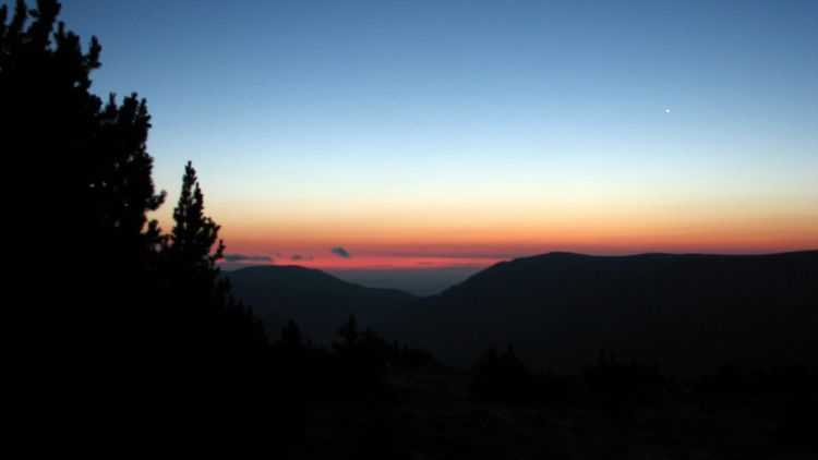 Affliction as a Teacher