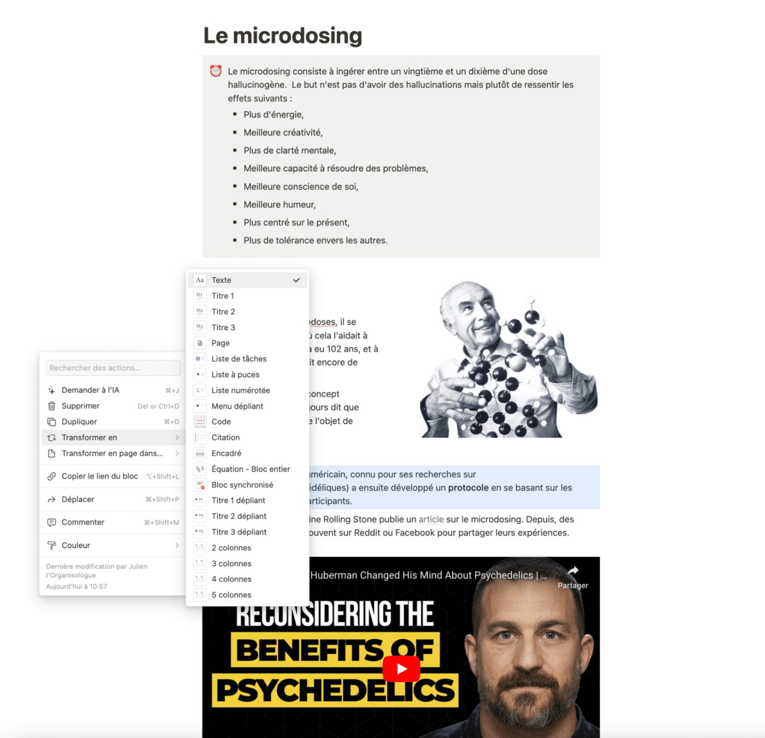 Les blocs Notion