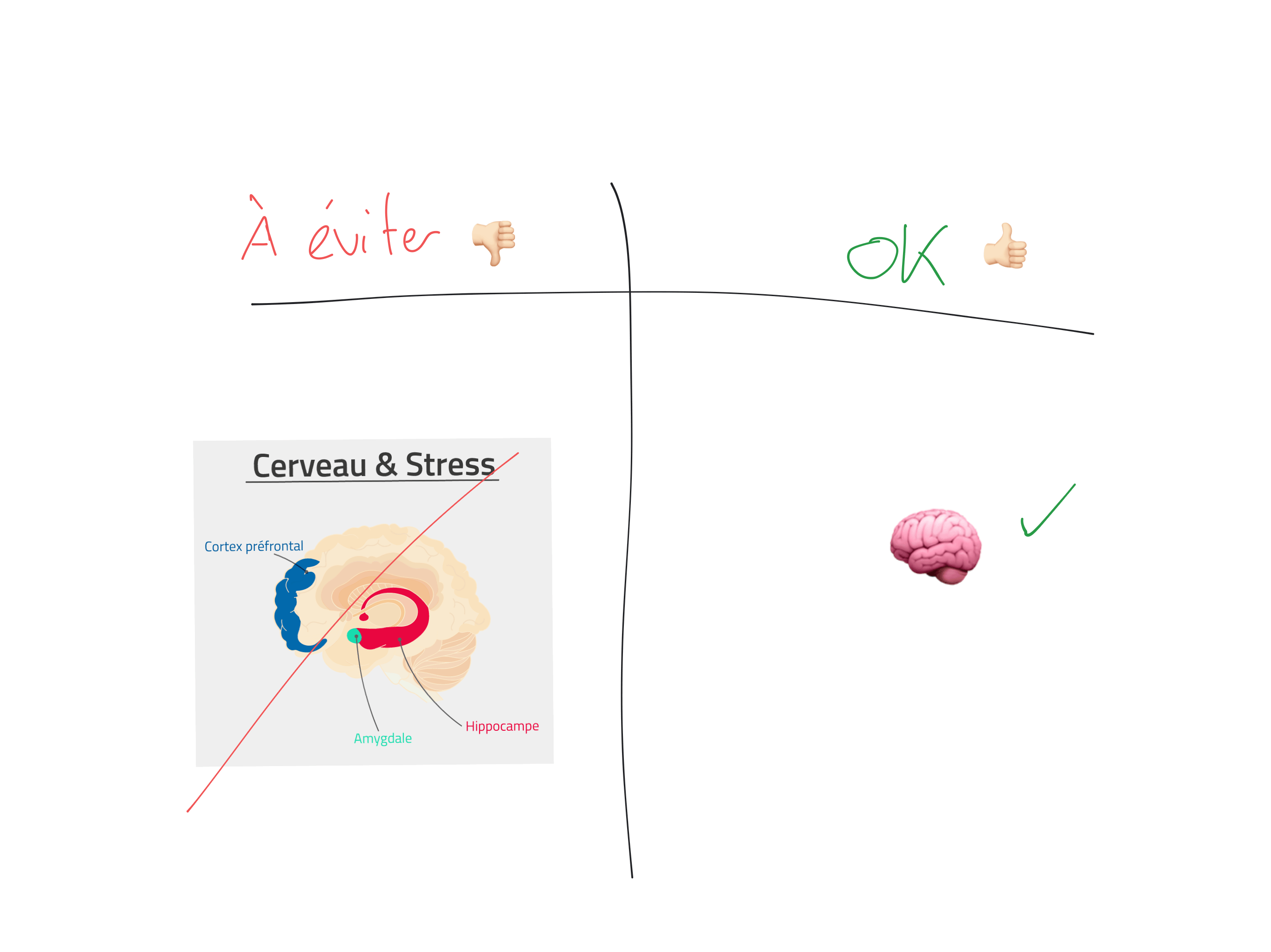 Image simple Image simple