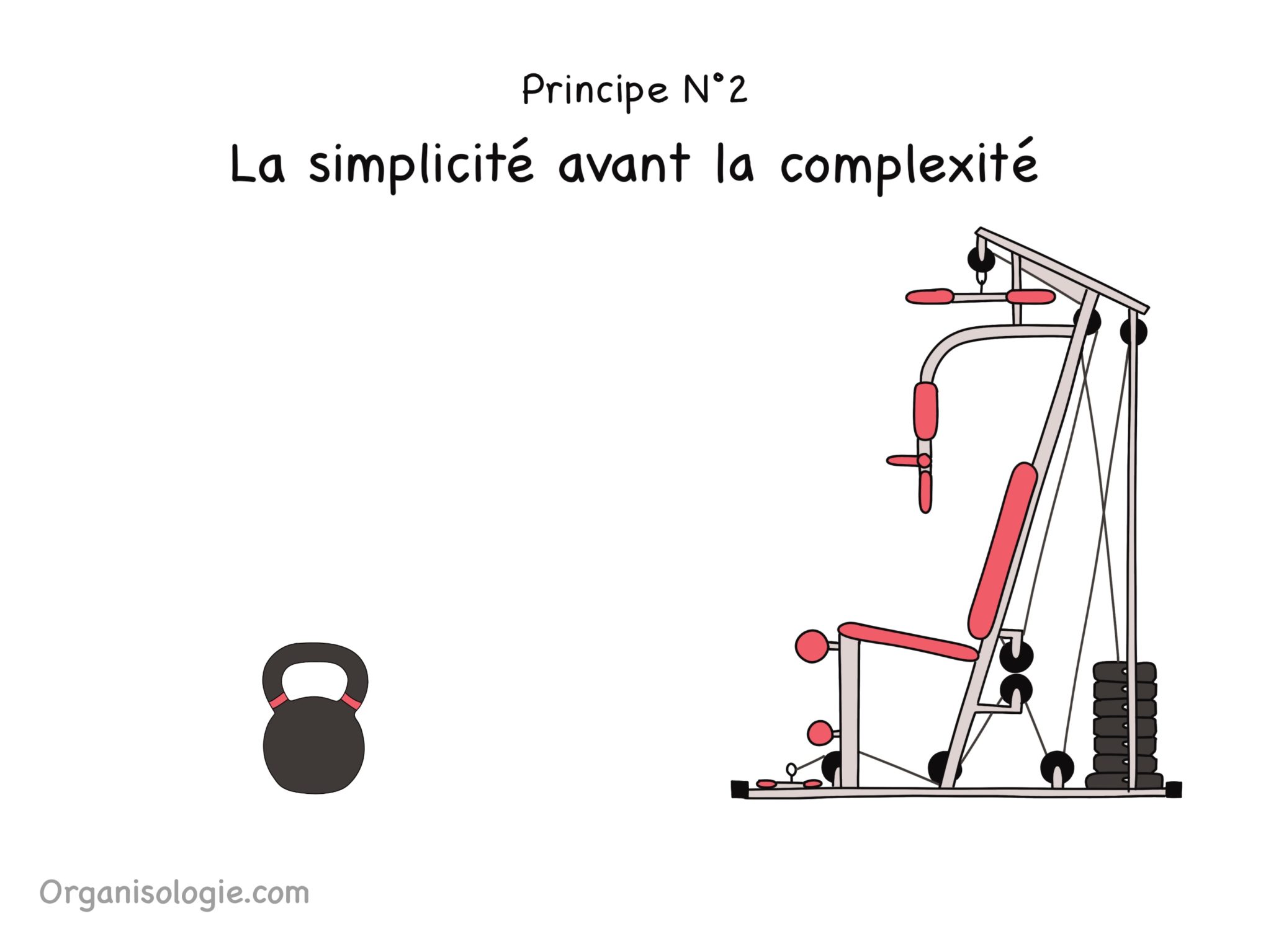 Deuxième principe de l'organisologie : la simplicité avant la complexité