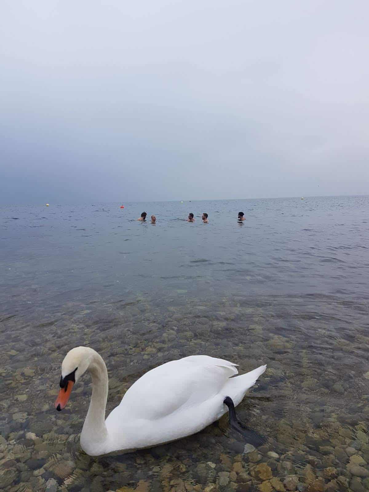 bain froid wim hof bain froid wim hof
