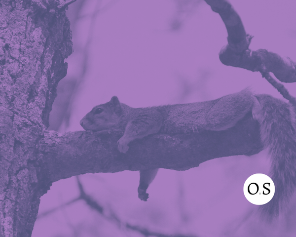Haskell: How a Lazy Language Was Put to Work (Part Three)