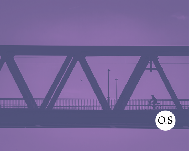 Accessing the Software Heritage Archive via the InterPlanetary FileSystem