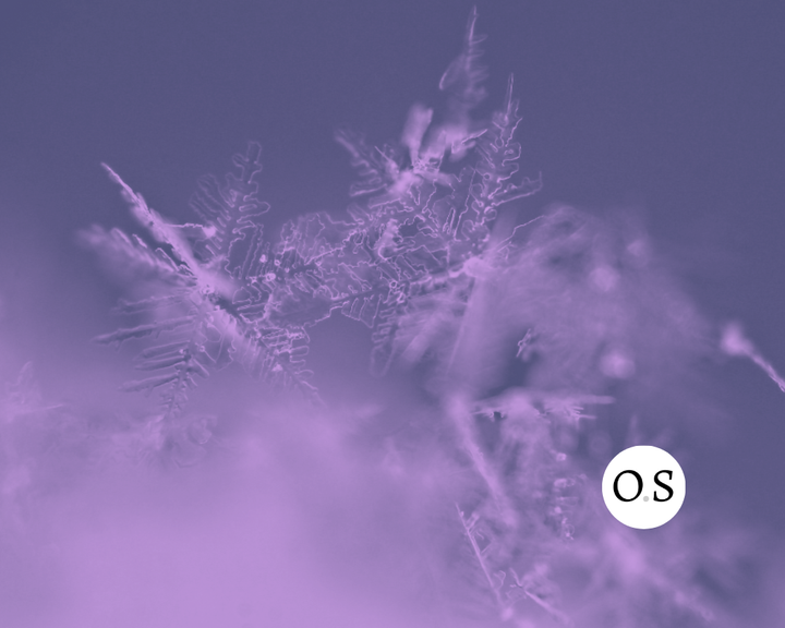 Nix × IPFS — Milestone 1