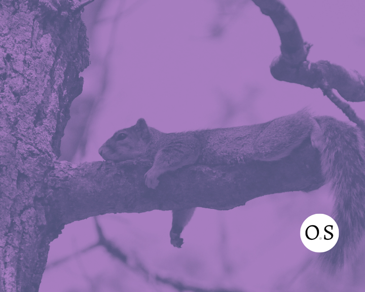 Haskell: How a Lazy Language Was Put to Work (Part Three)