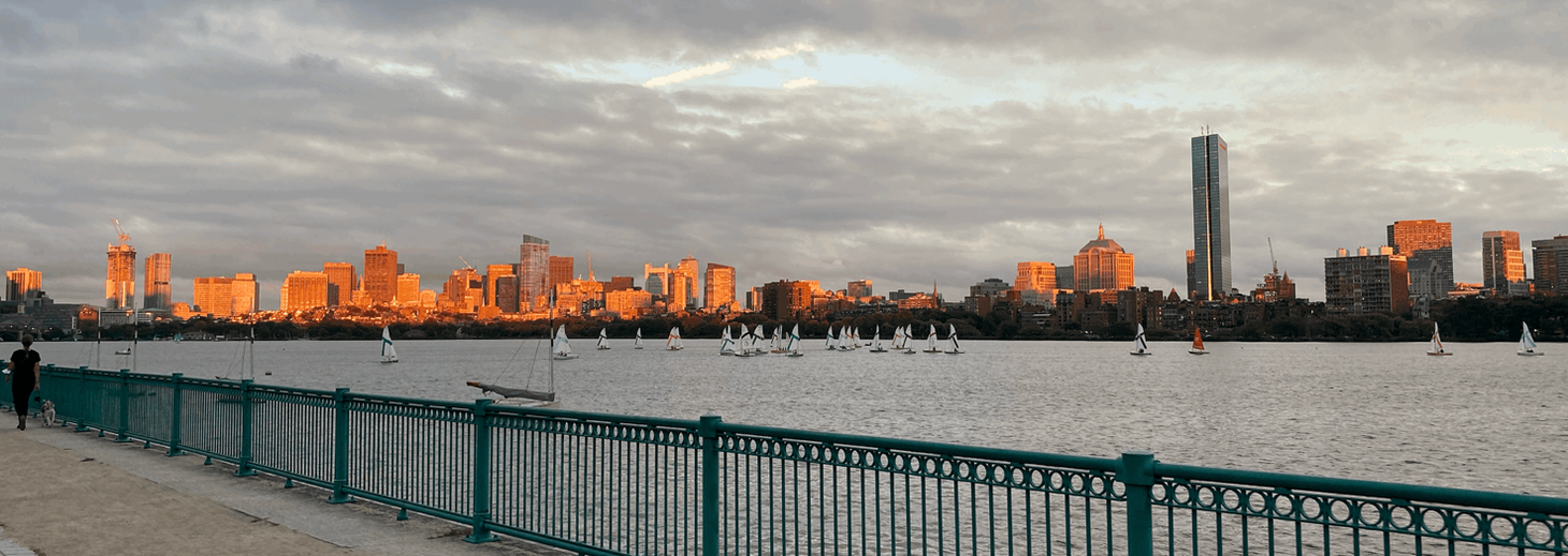 How to Manage the AI News Firehose without Drowning*