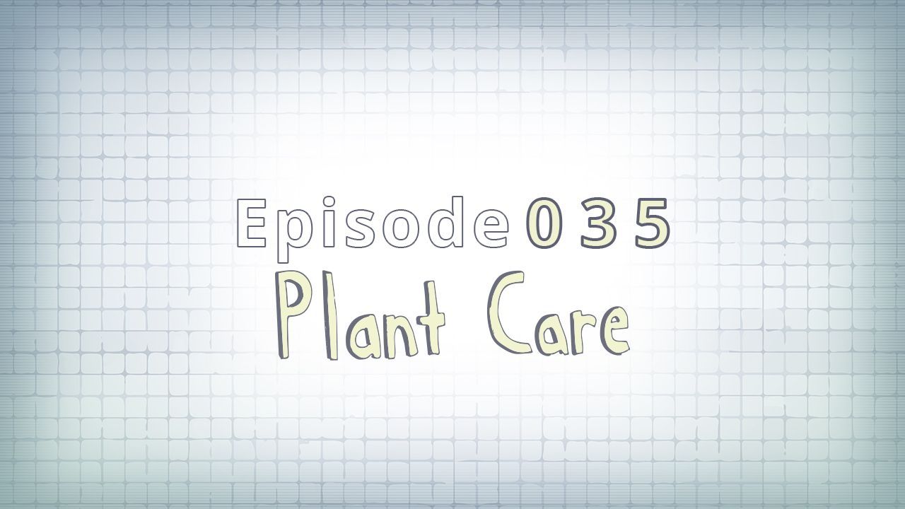 035: Plant Care