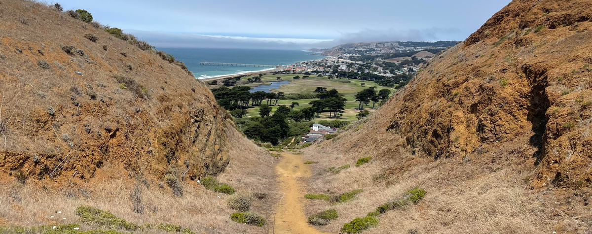 The ultimate guide to bodyweight exercises [WIKI]