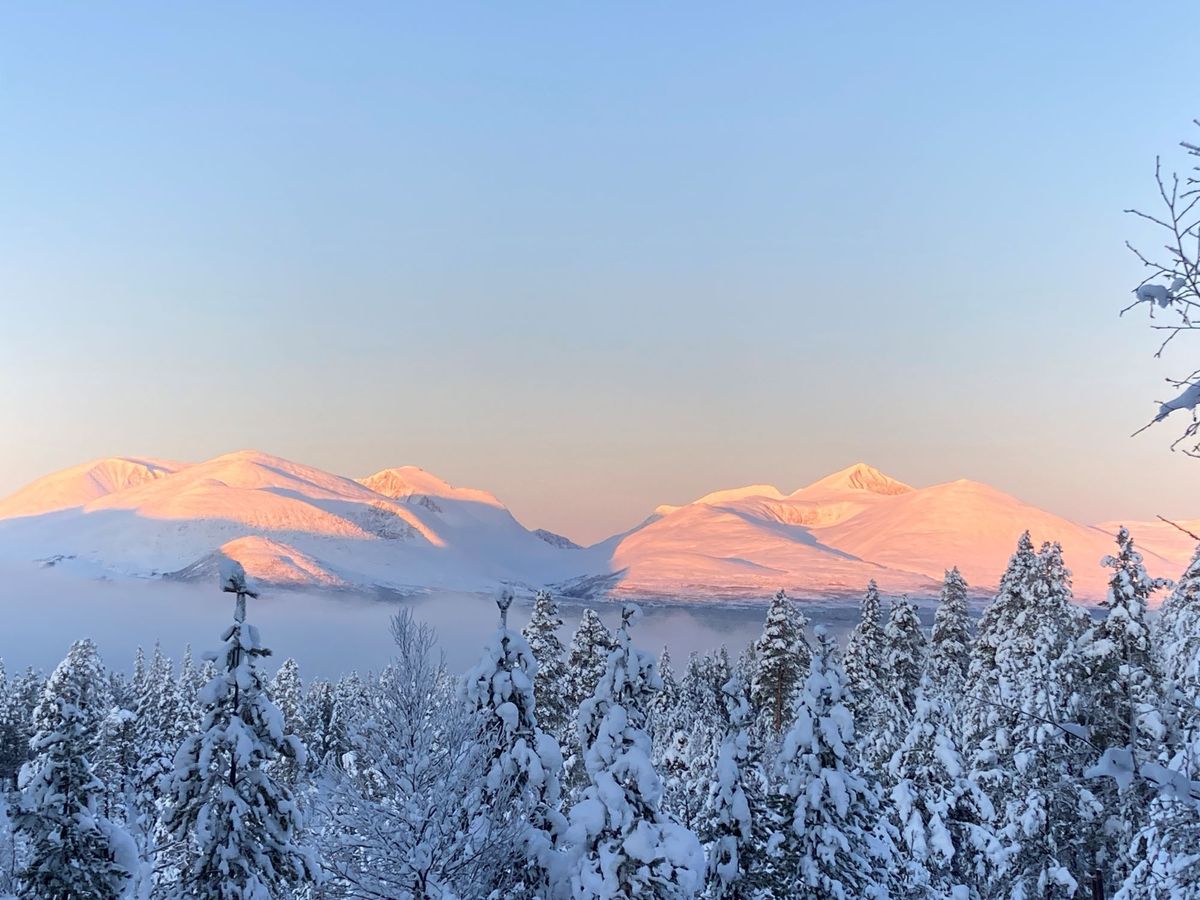 Sollia på sitt vakraste