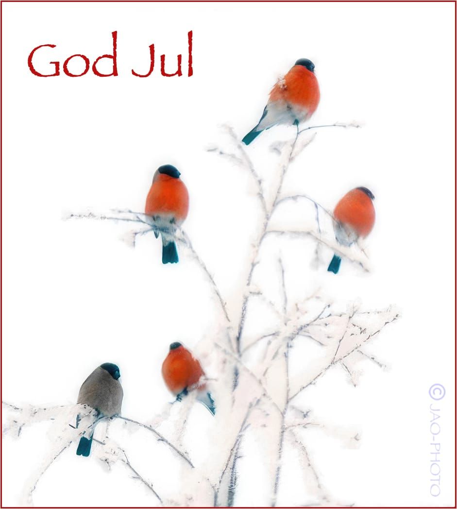 Sollia.net ønsker alle en god jul