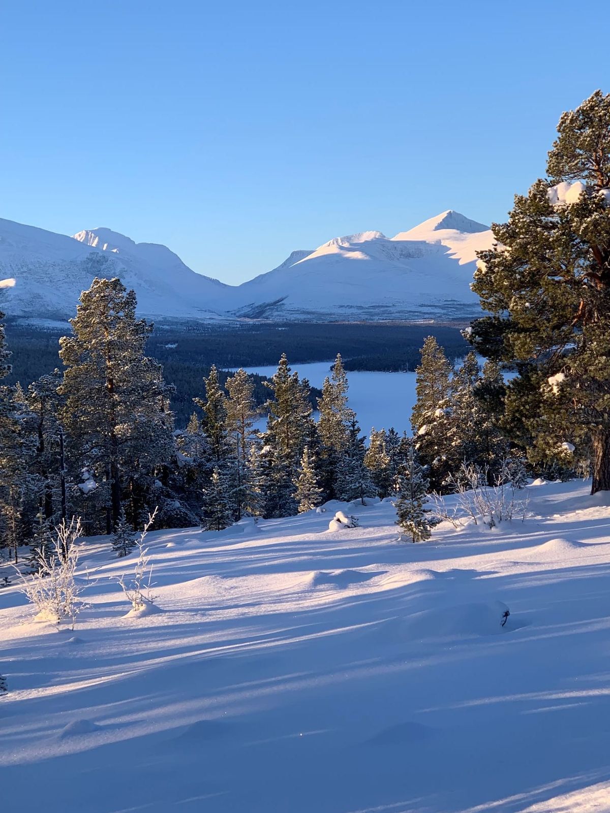 En vinterdag i Rondane