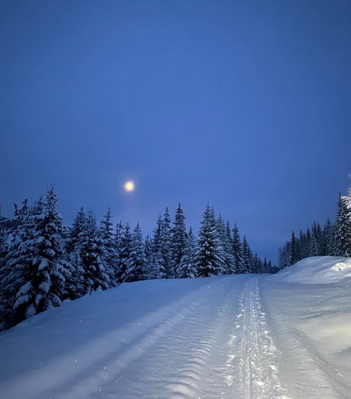 Fullmåne