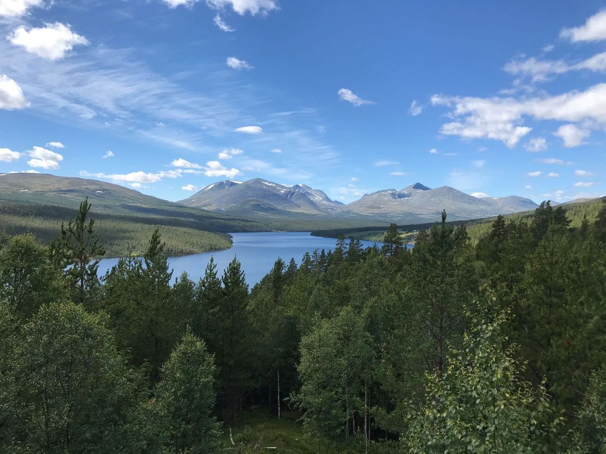 Ikke så mye som skjer
