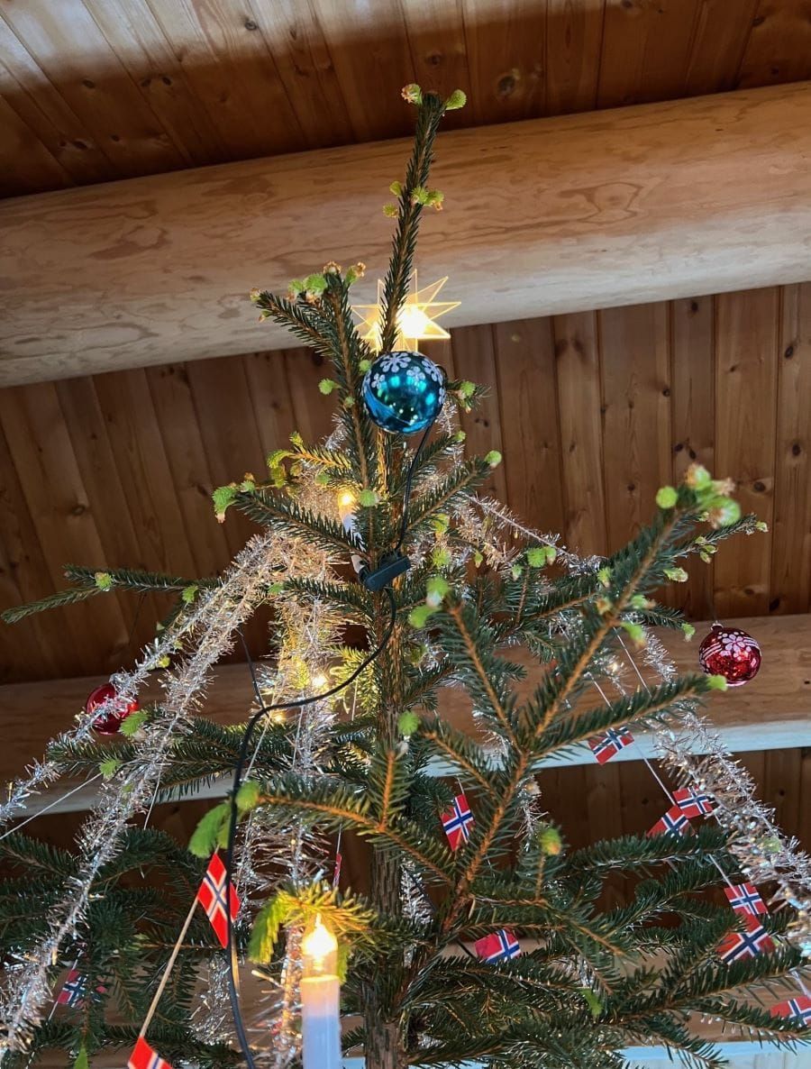 20. dag jul