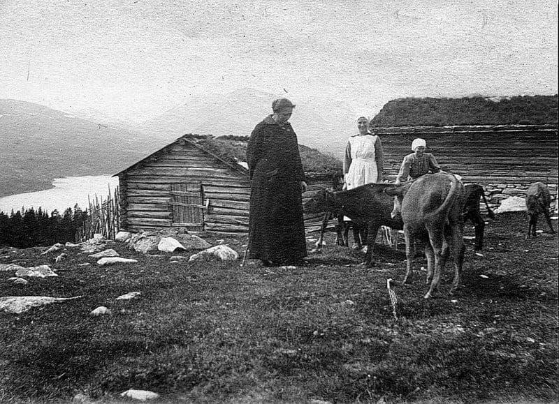 Sjølisetra