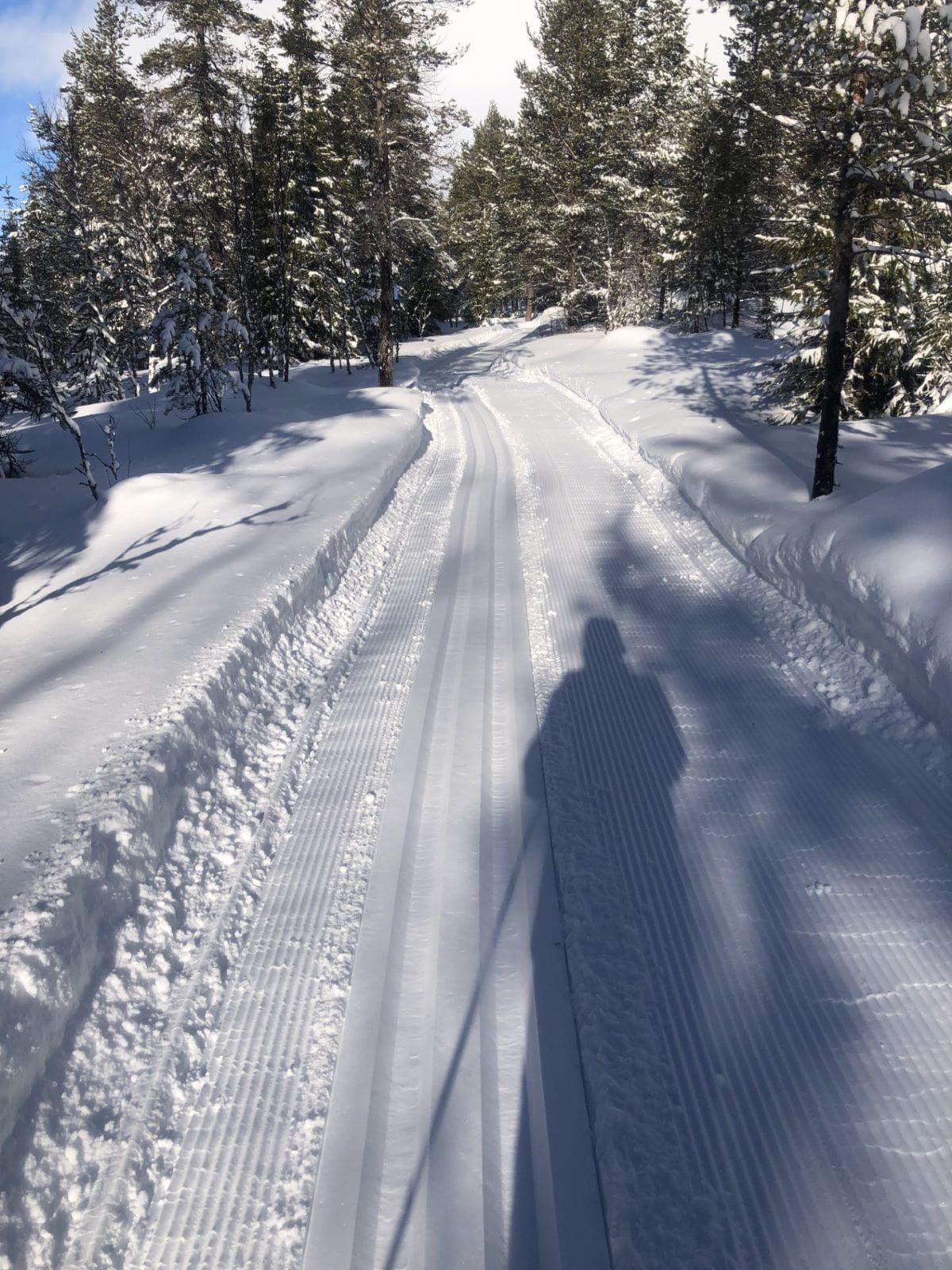 Nydelig skidag