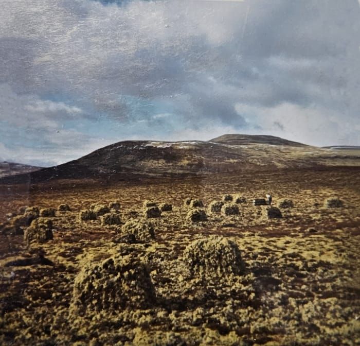 Måsåtaking på Atnbrua