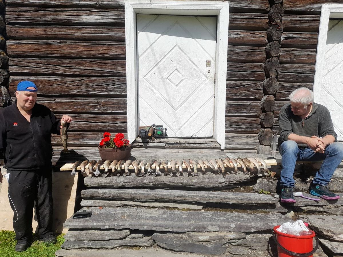 Døler med bra fangst på Setningssjøen