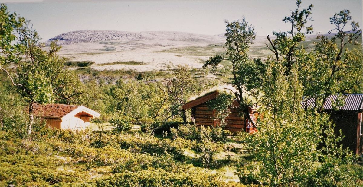 Vuludalsbua (2)